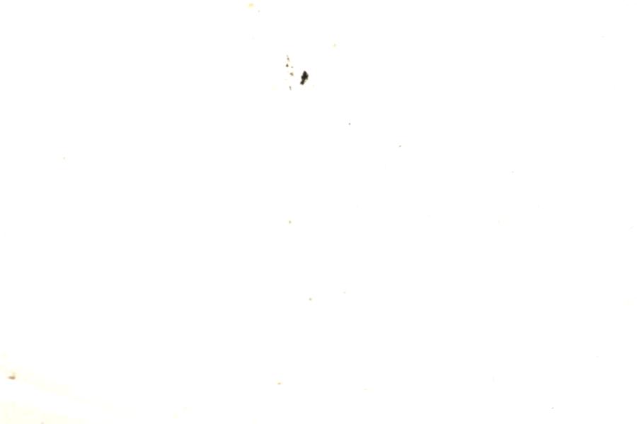 Image 119